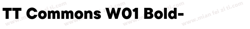 TT Commons W01 Bold字体转换